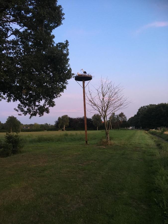 Houten Villa Tine Den Ham エクステリア 写真