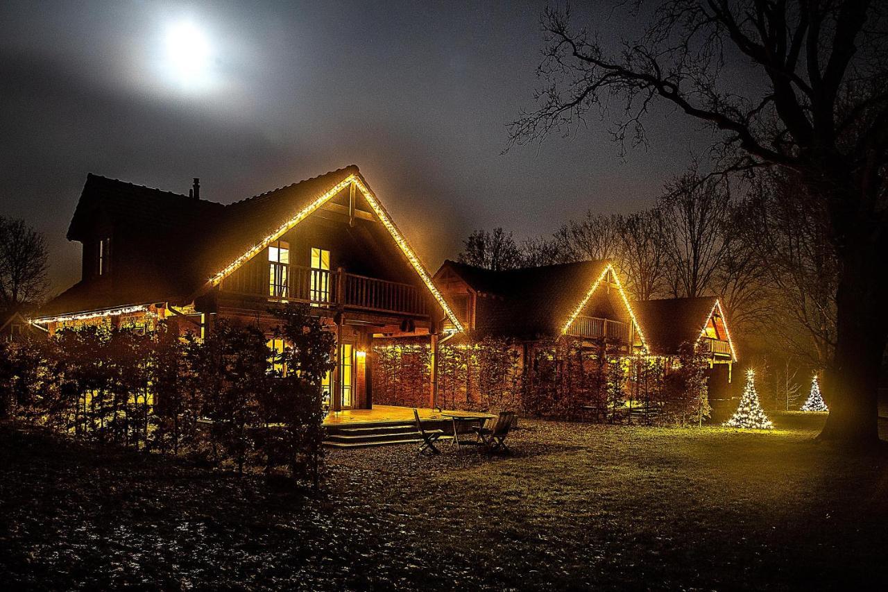 Houten Villa Tine Den Ham エクステリア 写真