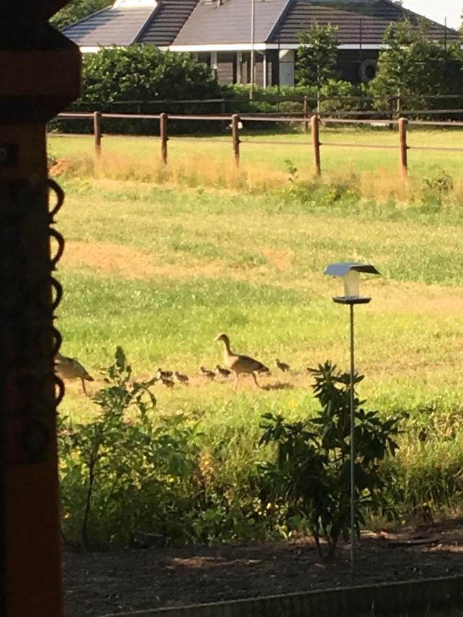 Houten Villa Tine Den Ham エクステリア 写真
